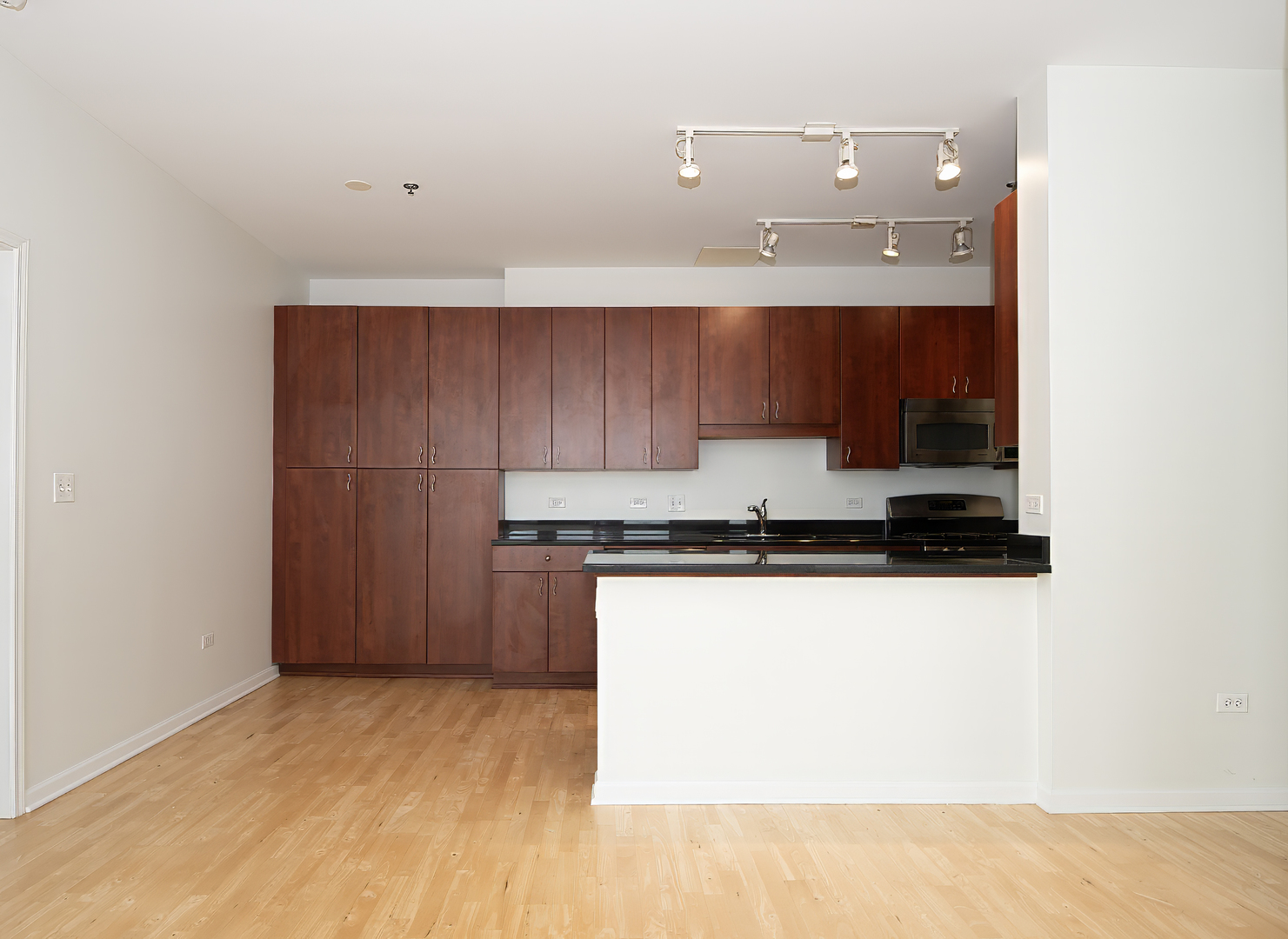 1255 South State Street, Unit 1902 Chicago, IL 60605 - Photo 11 of 33 a kitchen with stainless steel appliances a refrigerator and a stove