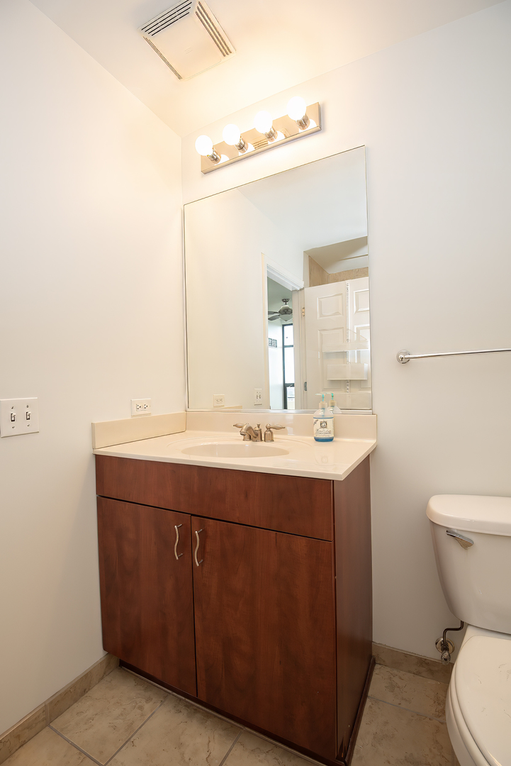 1255 South State Street, Unit 1902 Chicago, IL 60605 - Photo 20 of 33 a bathroom with a sink mirror vanity and toilet