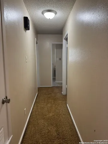 an entryway door with a hallway in it