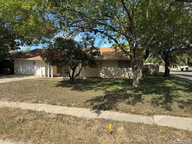 a view of a yard with plants and trees