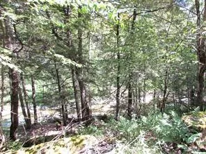 $49,700 | Lot 29 Sackett Creek Road, Nichols, NY 13812