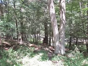$49,700 | Lot 29 Sackett Creek Road, Nichols, NY 13812
