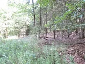 $49,700 | Lot 29 Sackett Creek Road, Nichols, NY 13812