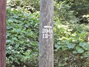 $49,700 | Lot 29 Sackett Creek Road, Nichols, NY 13812