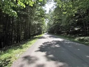 $49,700 | Lot 29 Sackett Creek Road, Nichols, NY 13812