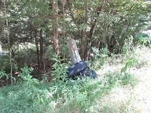 $49,700 | Lot 29 Sackett Creek Road, Nichols, NY 13812