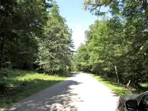 $49,700 | Lot 29 Sackett Creek Road, Nichols, NY 13812