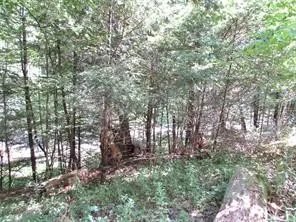 $49,700 | Lot 29 Sackett Creek Road, Nichols, NY 13812