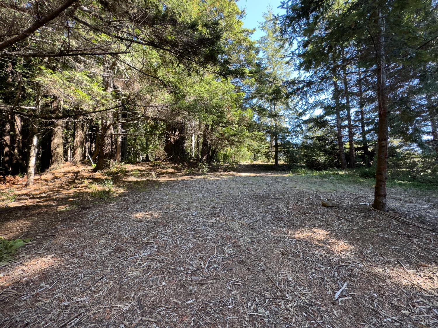 37284 Rams Horn Reach The Sea Ranch, CA 95497 - Photo 11 of 17 a view of outdoor space with trees
