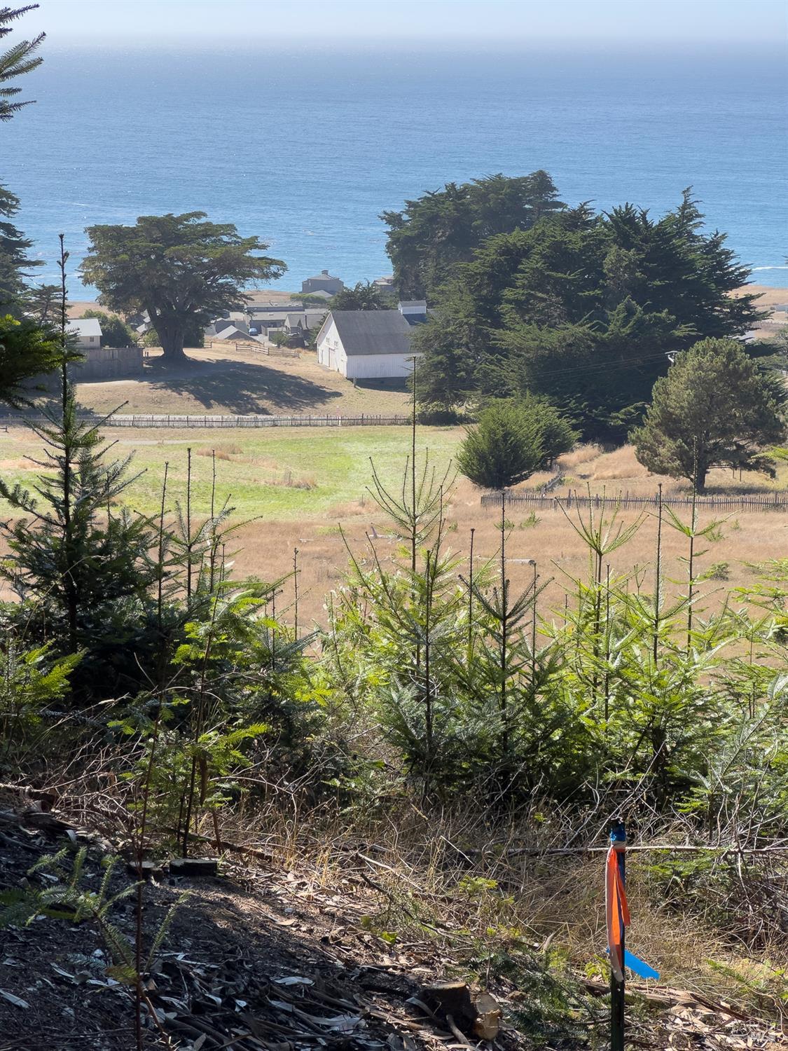 37284 Rams Horn Reach The Sea Ranch, CA 95497 - Photo 12 of 17 a view of lake