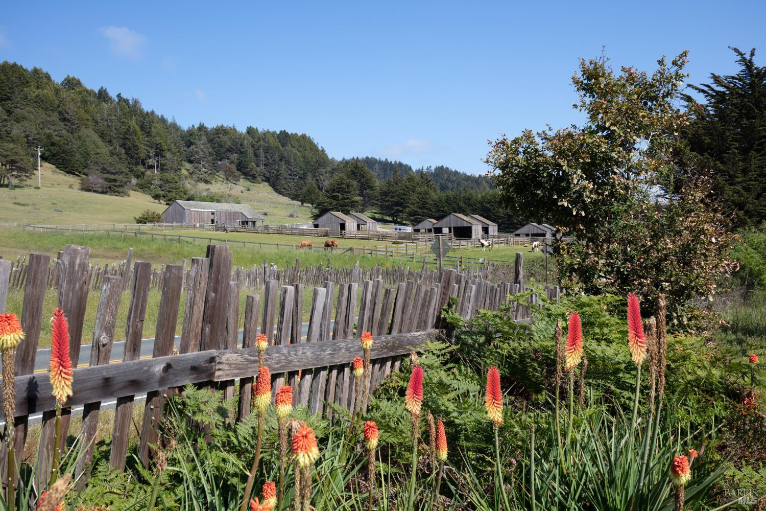 37284 Rams Horn Reach The Sea Ranch, CA 95497 - Photo 15 of 17 a view of a pathway of a yard of the house