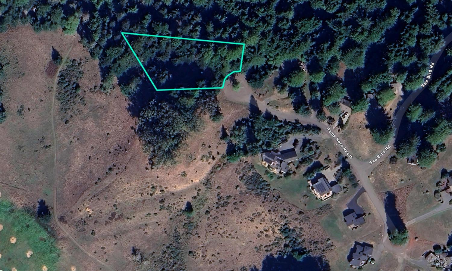 37284 Rams Horn Reach The Sea Ranch, CA 95497 - Photo 3 of 17 a view of a yard with a tree