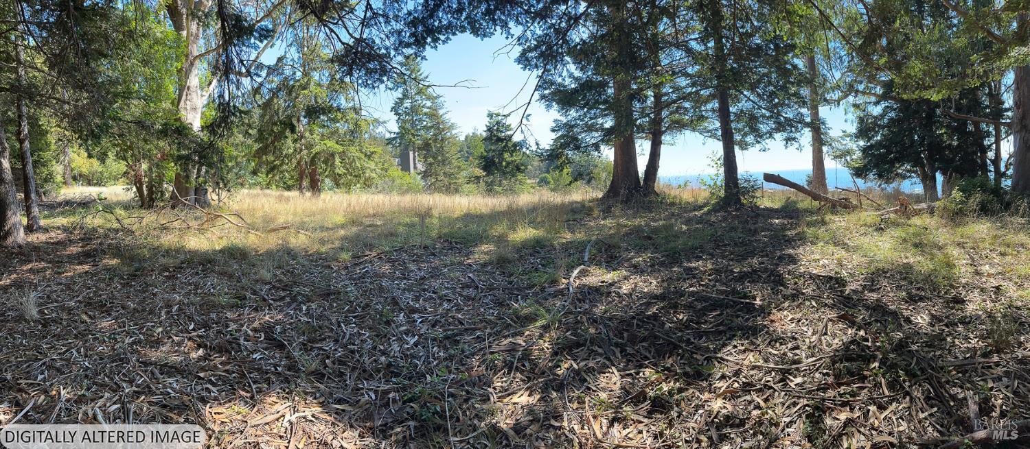 37284 Rams Horn Reach The Sea Ranch, CA 95497 - Photo 8 of 17 a view of outdoor space with trees all around