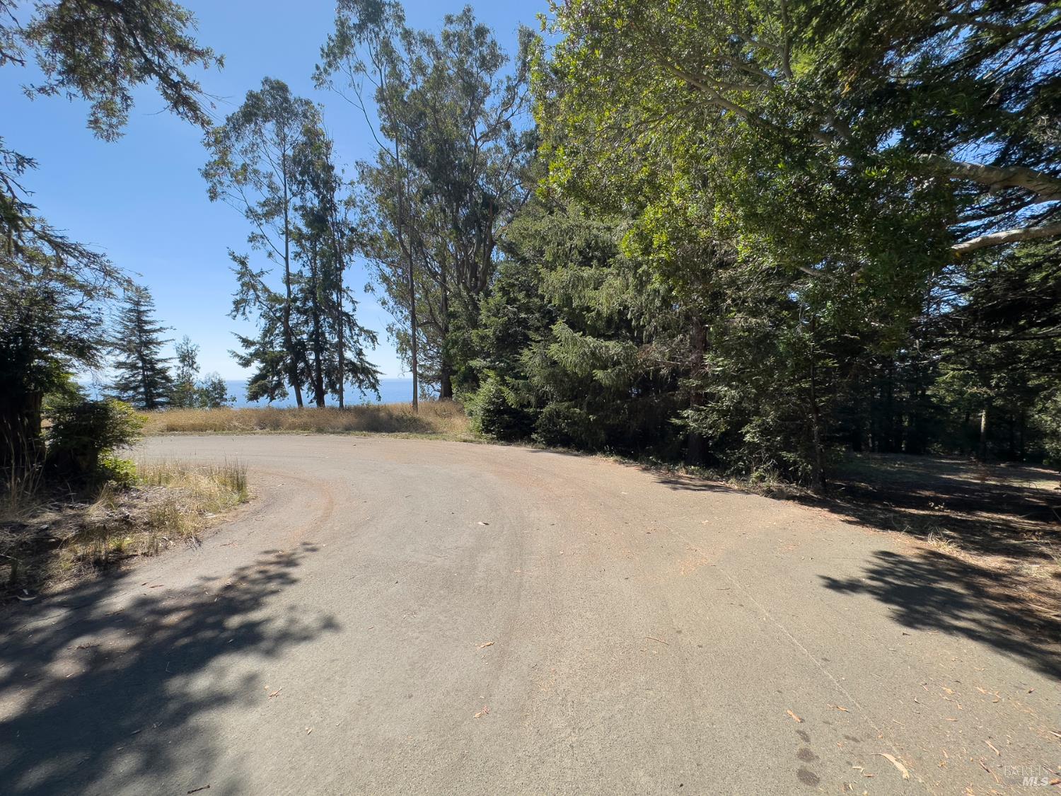 37284 Rams Horn Reach The Sea Ranch, CA 95497 - Photo 10 of 17 a view of snow on a road