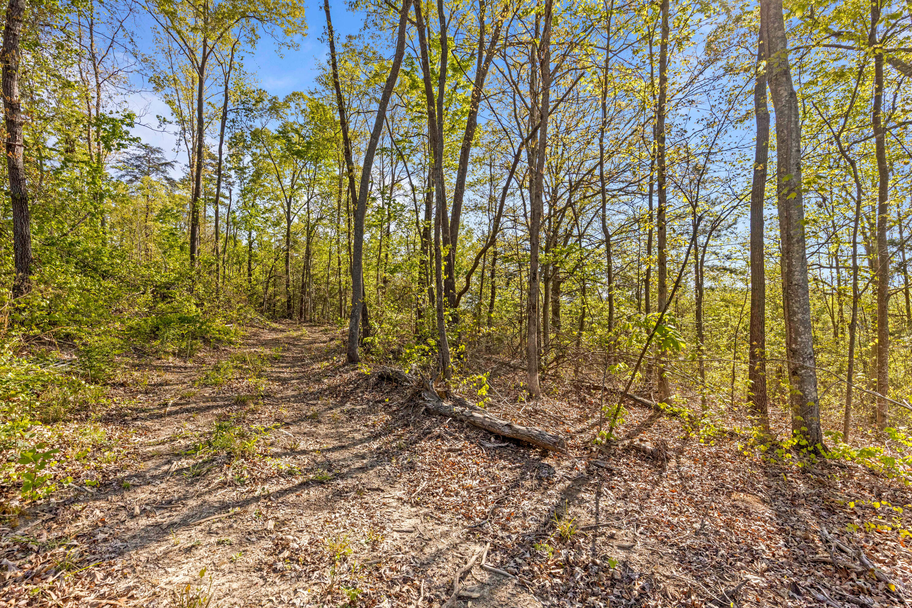 0 Valley View Highway Whitwell, TN 37397 - Photo 8 of 26 ValleyView-5