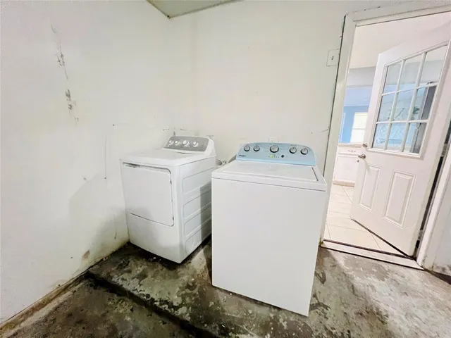 a view of a backyard with plants and large tree