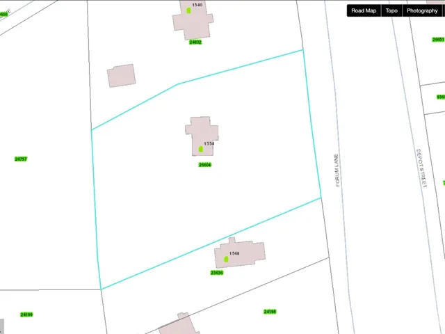 a backyard of a house with plants and large tree