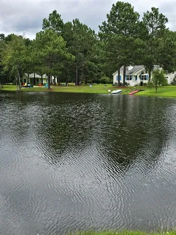 a view of swimming pool and trees in the background