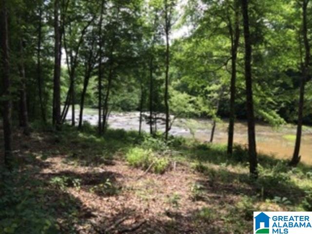 0 County Road 8, Unit 1 Clanton, AL 35045 - Photo 10 of 30