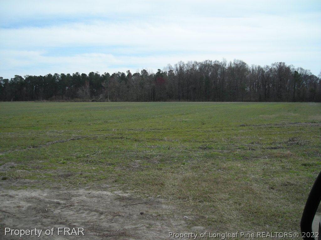 328 Gum Swamp Road Bolton, NC 28423 - Photo 1 of 4 Gallery Image 1
