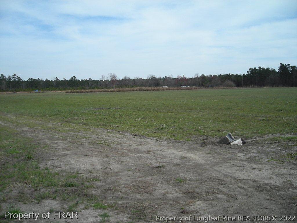 328 Gum Swamp Road Bolton, NC 28423 - Photo 2 of 4 Gallery Image 2