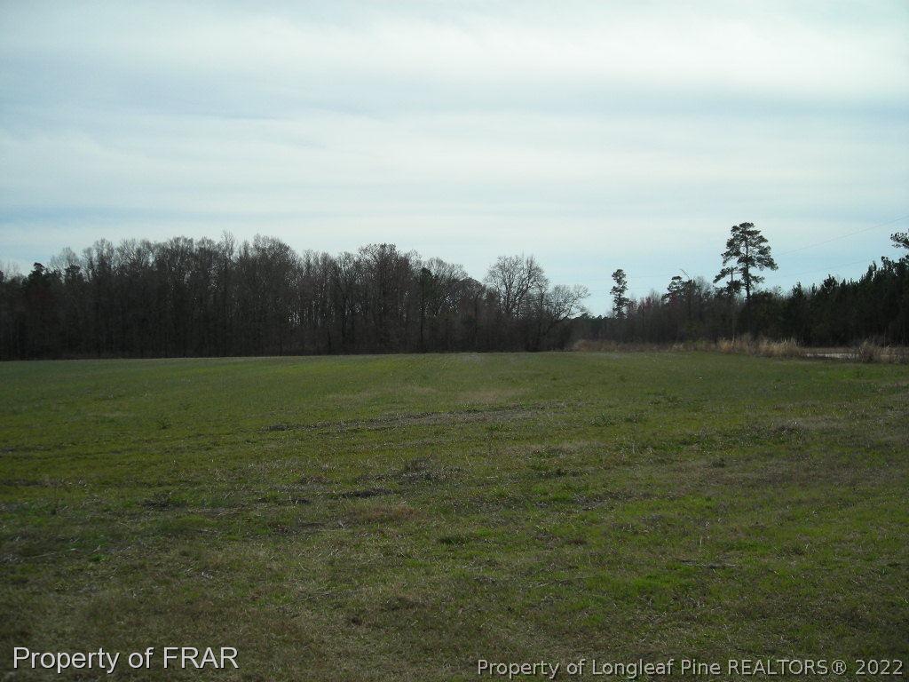 328 Gum Swamp Road Bolton, NC 28423 - Photo 3 of 4 Gallery Image 3