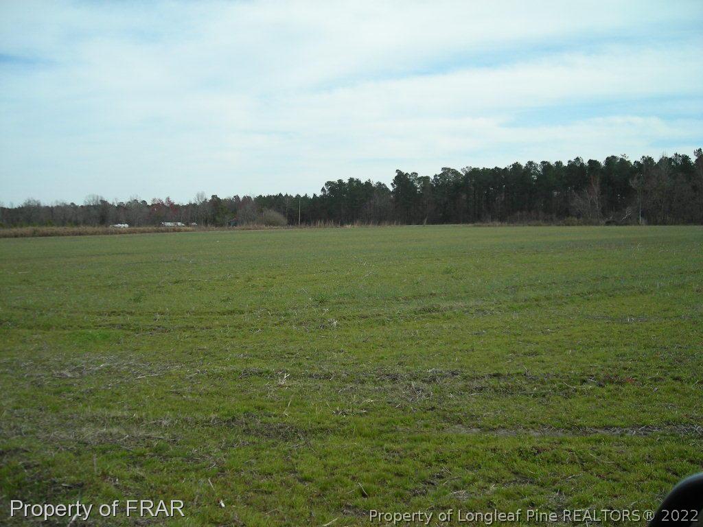 328 Gum Swamp Road Bolton, NC 28423 - Photo 4 of 4 Gallery Image 4