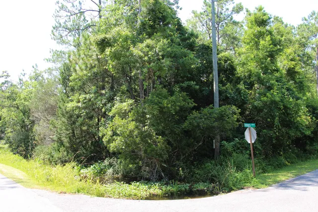 $75,000 | Lot 9-block Lot 9-block A Hobbs Way Street, Crawfordville, FL 32327