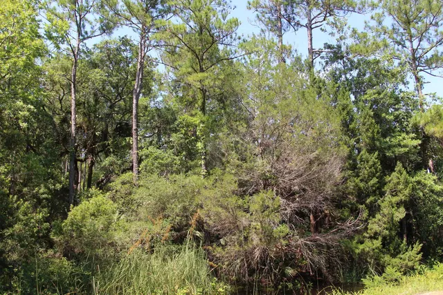 $75,000 | Lot 9-block Lot 9-block A Hobbs Way Street, Crawfordville, FL 32327
