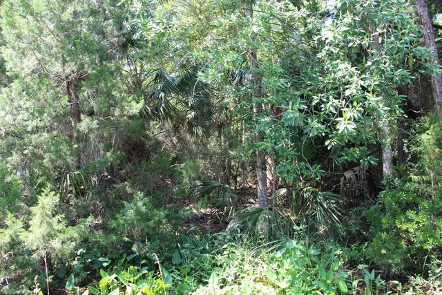 $75,000 | Lot 9-block Lot 9-block A Hobbs Way Street, Crawfordville, FL 32327