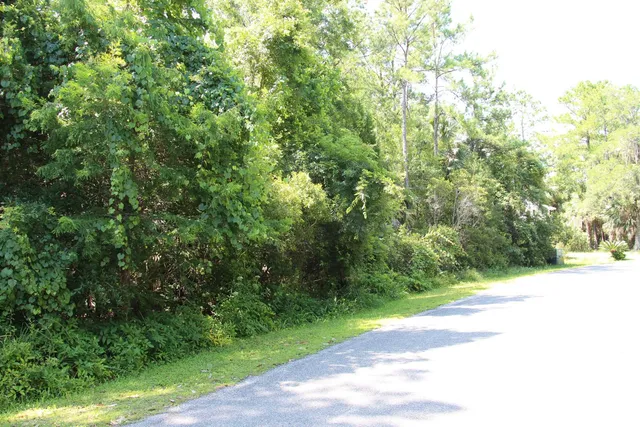 $75,000 | Lot 9-block Lot 9-block A Hobbs Way Street, Crawfordville, FL 32327