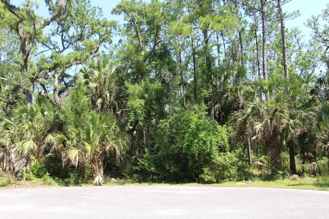 $75,000 | Lot 9-block Lot 9-block A Hobbs Way Street, Crawfordville, FL 32327