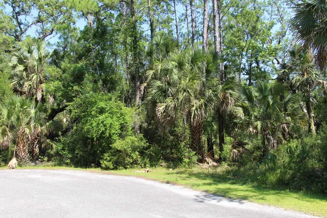 $75,000 | Lot 9-block Lot 9-block A Hobbs Way Street, Crawfordville, FL 32327