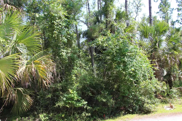 $75,000 | Lot 9-block Lot 9-block A Hobbs Way Street, Crawfordville, FL 32327