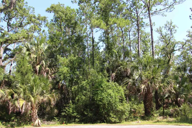 $75,000 | Lot 9-block Lot 9-block A Hobbs Way Street, Crawfordville, FL 32327