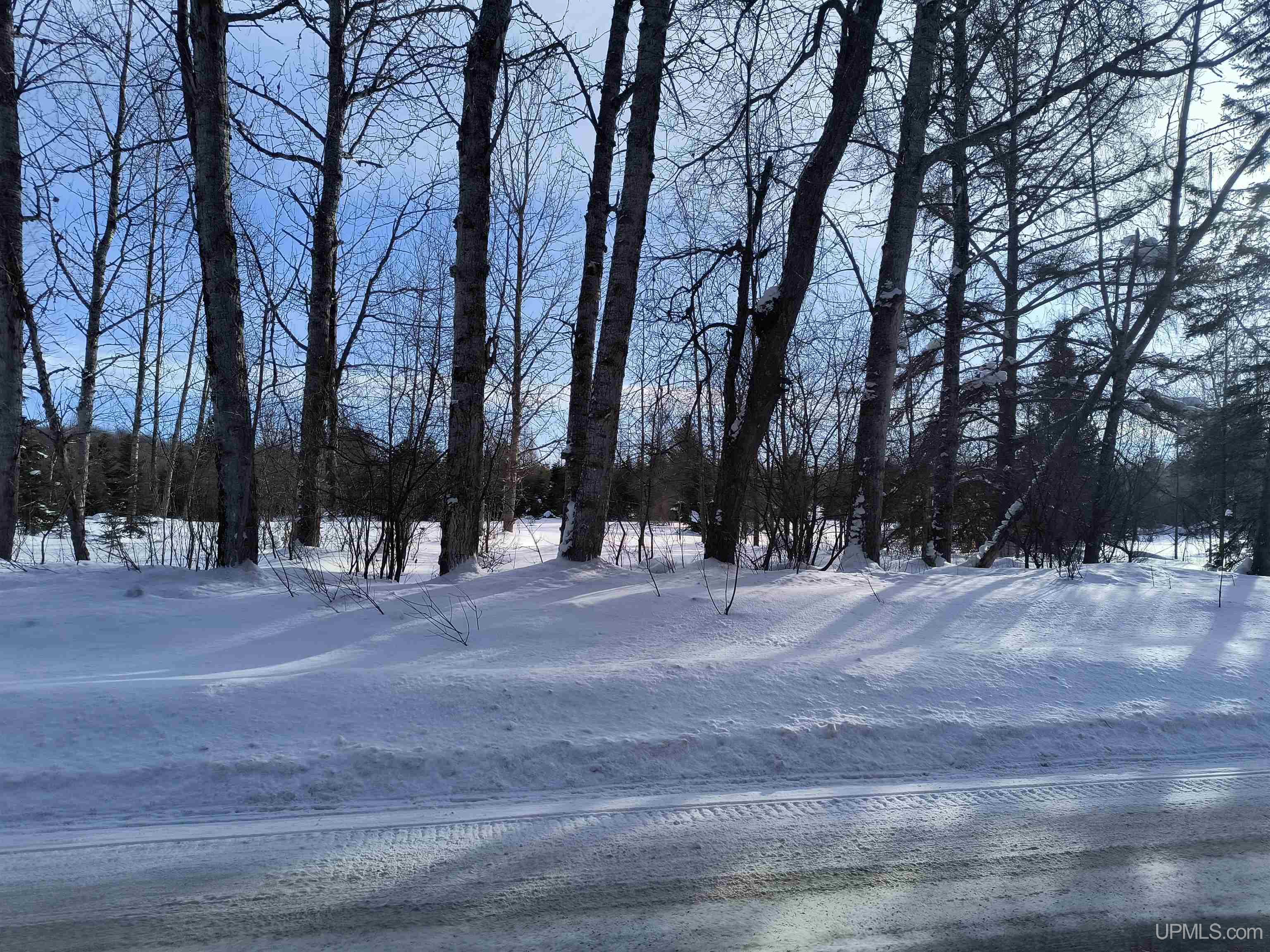 Off Bates Gaastra Road Iron River, MI 49935 - Photo 4 of 7