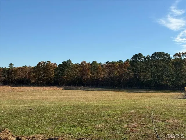 $625,000 | 16165 Hwy Af, Licking, MO 65542