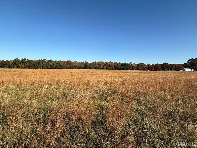 $625,000 | 16165 Hwy Af, Licking, MO 65542