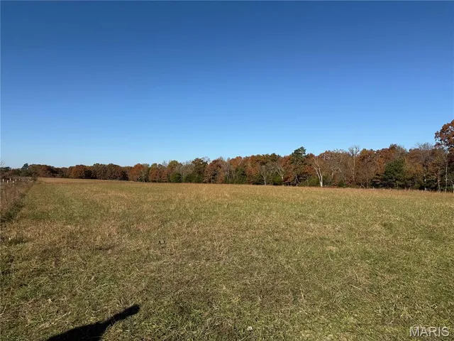 $599,900 | 16165 Hwy Af, Licking, MO 65542