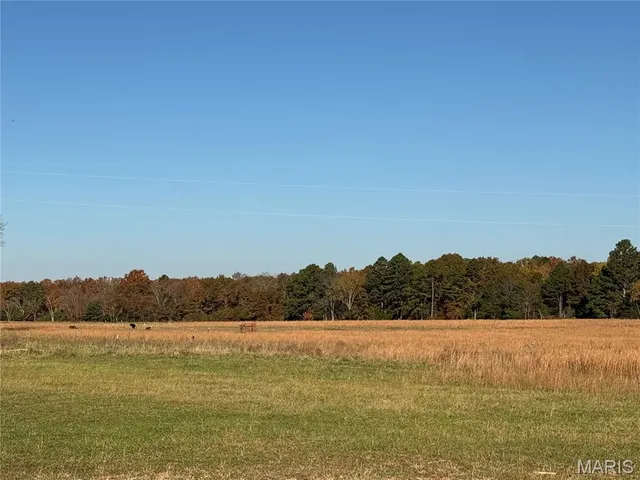 $625,000 | 16165 Hwy Af, Licking, MO 65542