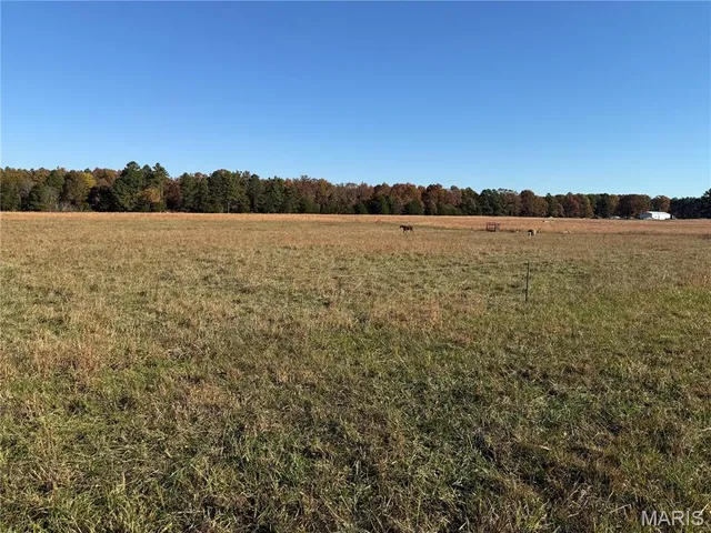 $625,000 | 16165 Hwy Af, Licking, MO 65542