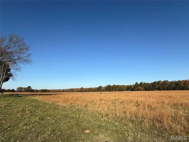 $599,900 | 16165 Hwy Af, Licking, MO 65542