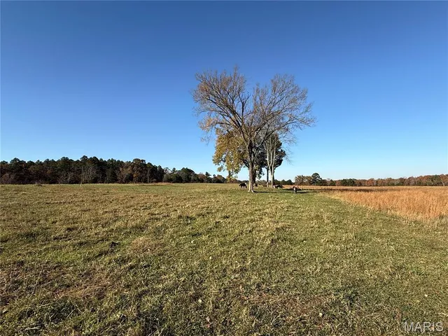 $625,000 | 16165 Hwy Af, Licking, MO 65542