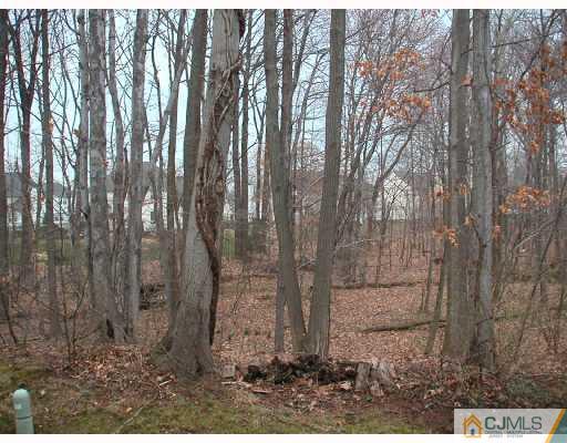 2004 Timber Oaks Road Edison, NJ 08820 - Photo 10 of 10 a backyard of a house with lots of green space