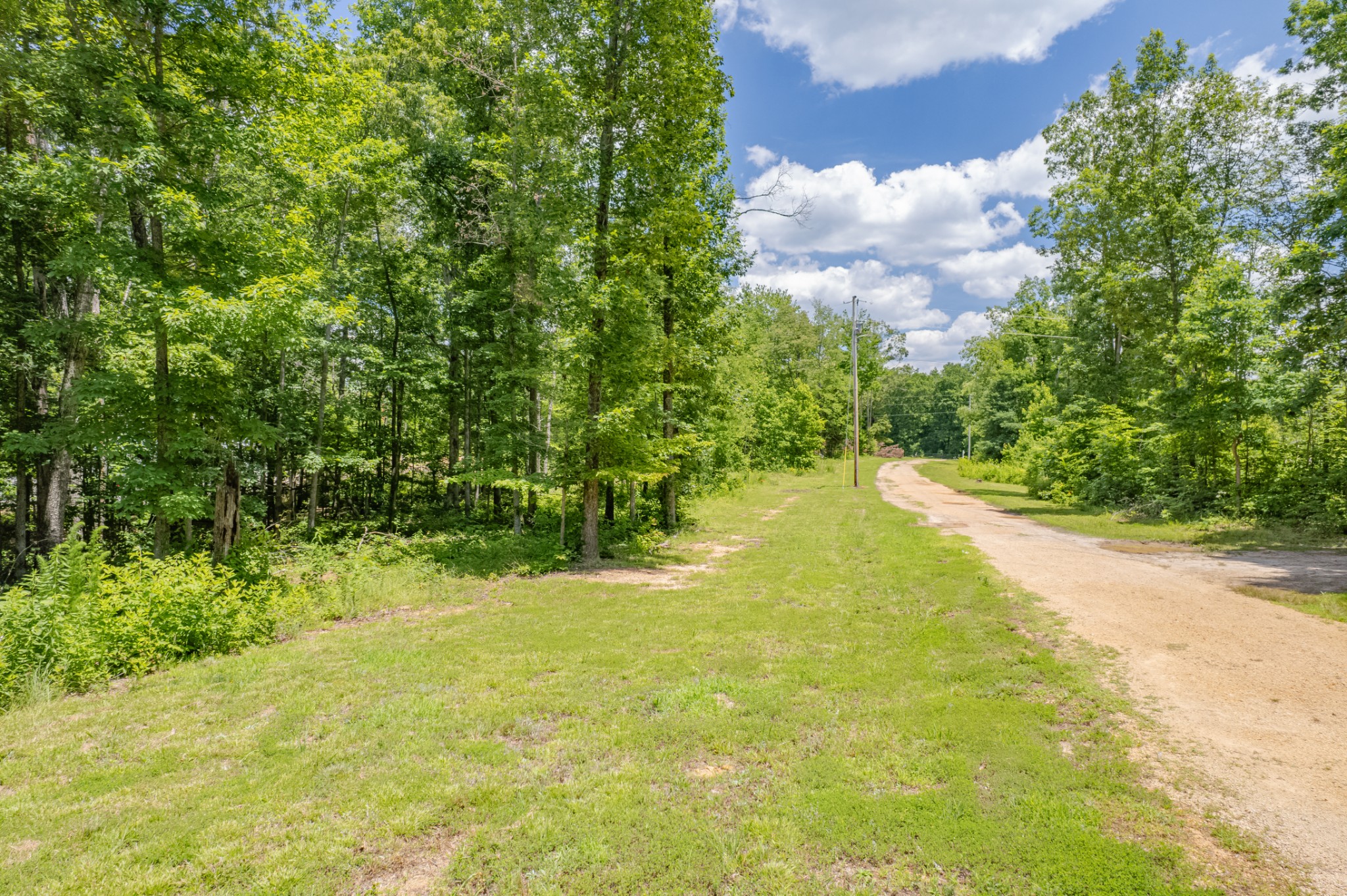 6126 Calvin Potts Road Primm Springs, TN 38476 - Photo 3 of 36 Gallery Image 3