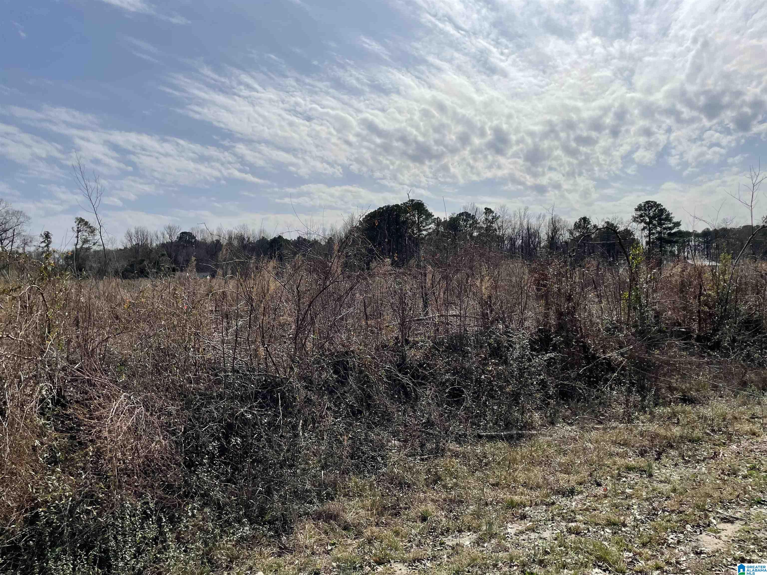 0 Kincheon Road Clanton, AL 35045 - Photo 41 of 45