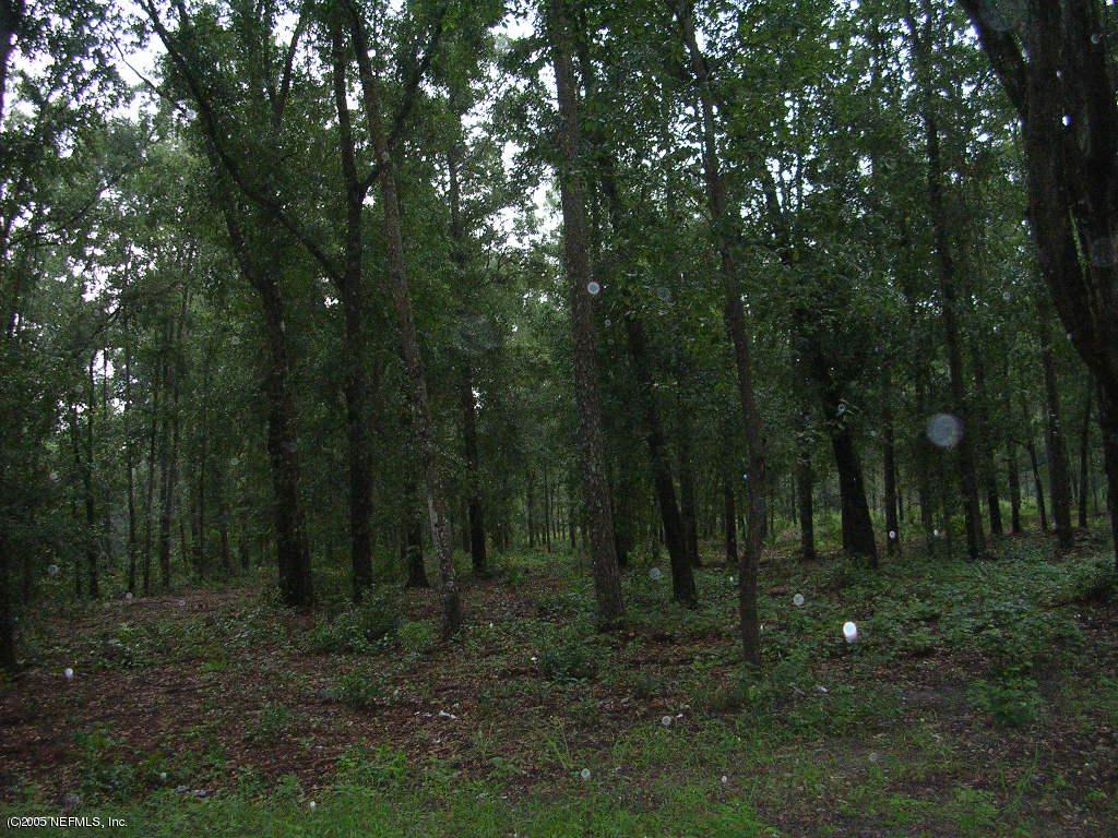 0 Knowles Road West Green Cove Springs, FL 32043 - Photo 1 of 1 KNOWLES RD VIEW