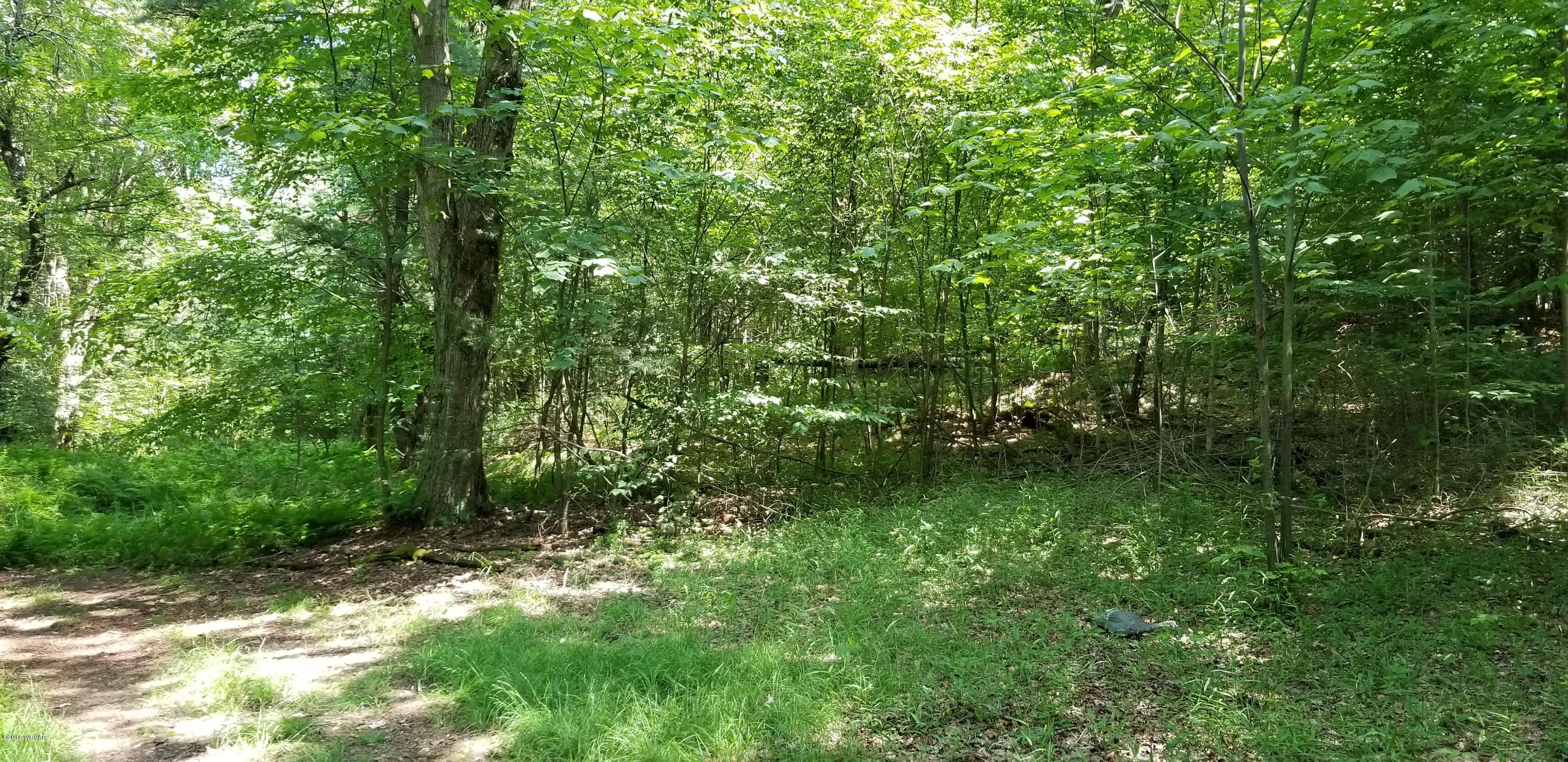 357 Rocky Rd Lane Dushore, PA 18614 - Photo 18 of 18 20180630_145719 (1)