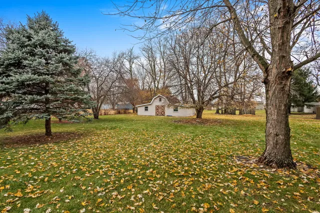 a view of yard with tree