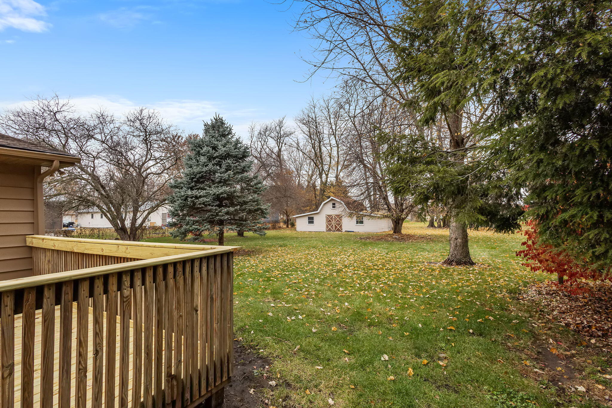 708 East Maple Street Rensselaer, IN 47978 - Photo 33 of 33 a large tree in the middle of a yard
